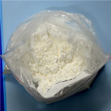 Proparacaine Hydrochloride 